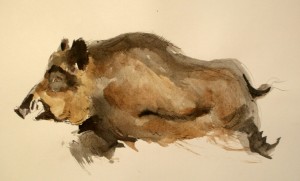 2010 Ilustrace zvířete, tuš  a akvarel na papíře, 25 x 20 cm